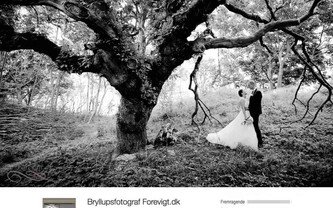 bryllupsfotograf pris