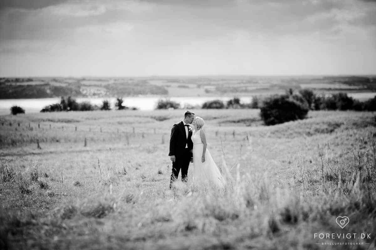 bryllupsfotografer Hadsten