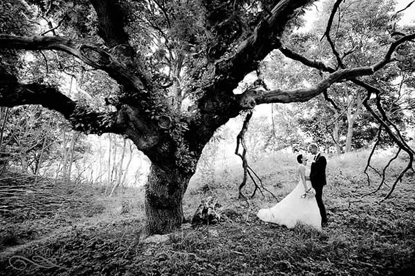 bryllupsfotografering Aarhus