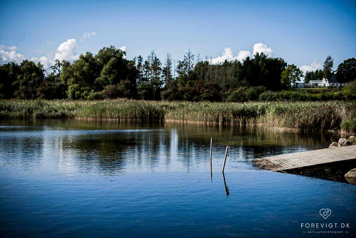 Billeder af bryllup i naturen