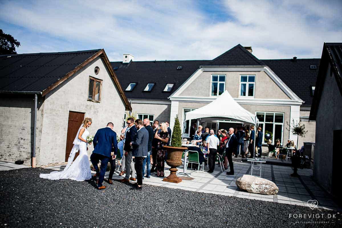Bryllupportrætter og bryllupsfest ved Femhøj