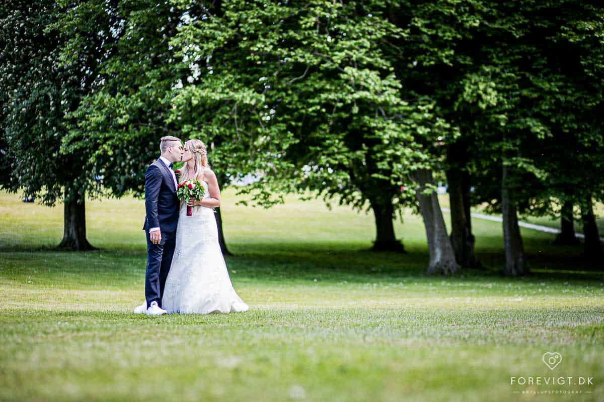 Billeder af Roskilde bryllup
