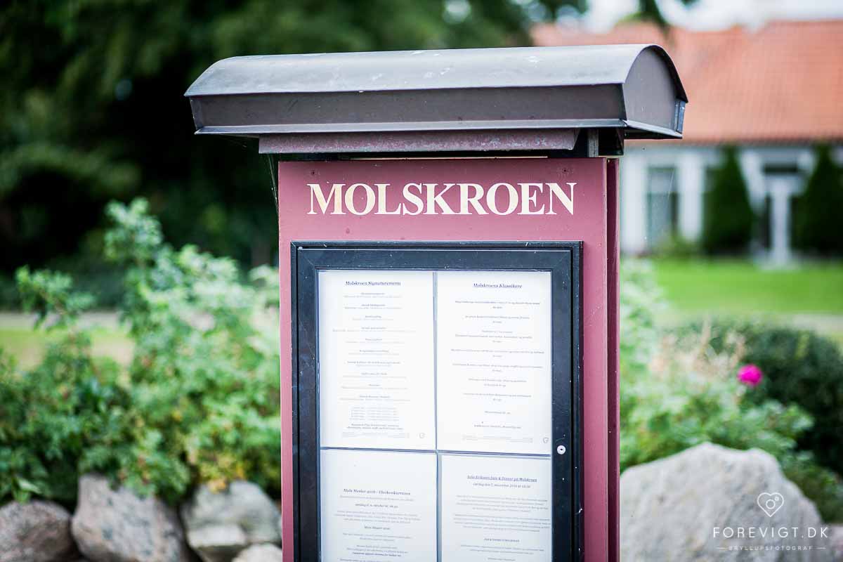 molskroen