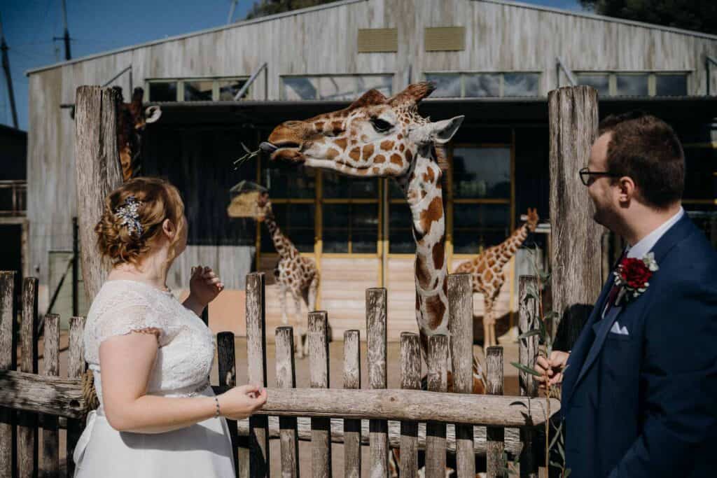 Mangler i en bryllupsfotograf på Fyn