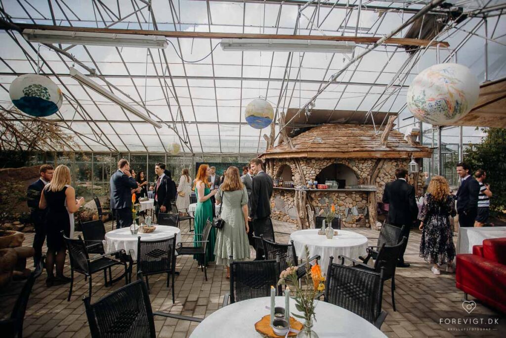 Bryllup Viborg - Bryllup i drivhus