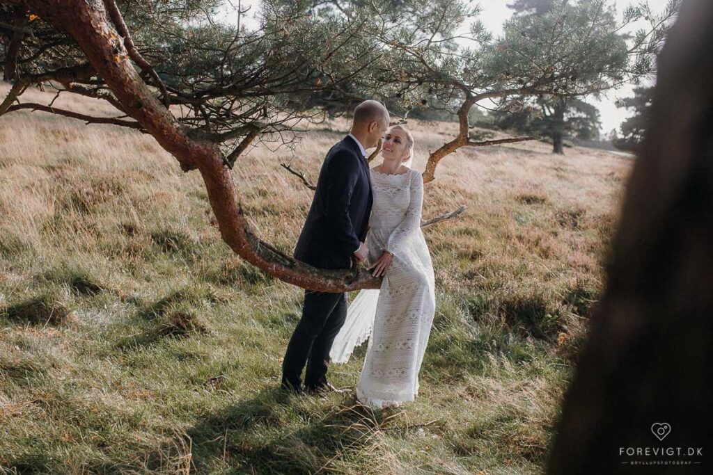 Danmarks bedste bryllupsfotografer